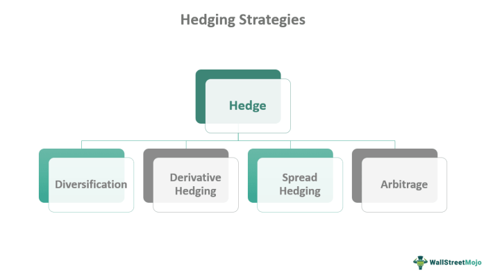 Hedge fund funds efinancemanagement capital